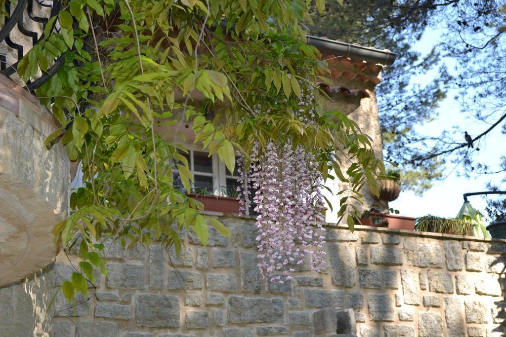 Mas Les Filaos Ξενοδοχείο Carpentras Εξωτερικό φωτογραφία